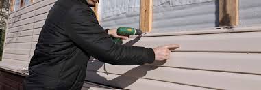 Best Vinyl Siding Installation  in Hartley, IA